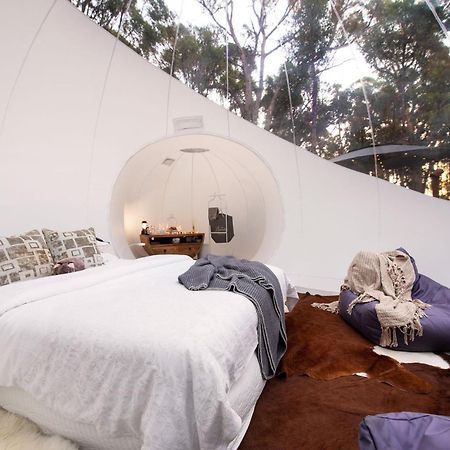Skyview Bubbletent Eganstown Екстер'єр фото